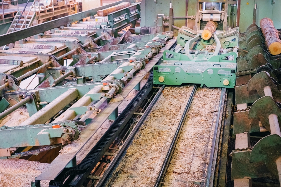 In einem Sägewerk werden Baumstämme auf einem grünen Industrieförderband verarbeitet, Maschinen schneiden Holz. Sägespäne sind überall verstreut, und Reihen von Baumstämmen stehen zur Verarbeitung bereit.